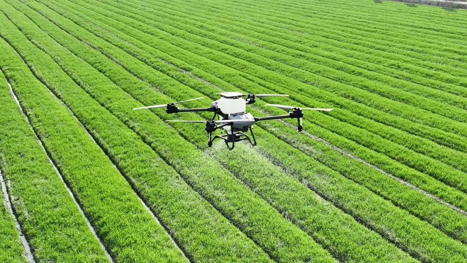 Drone pertanian di atas barisan tanaman