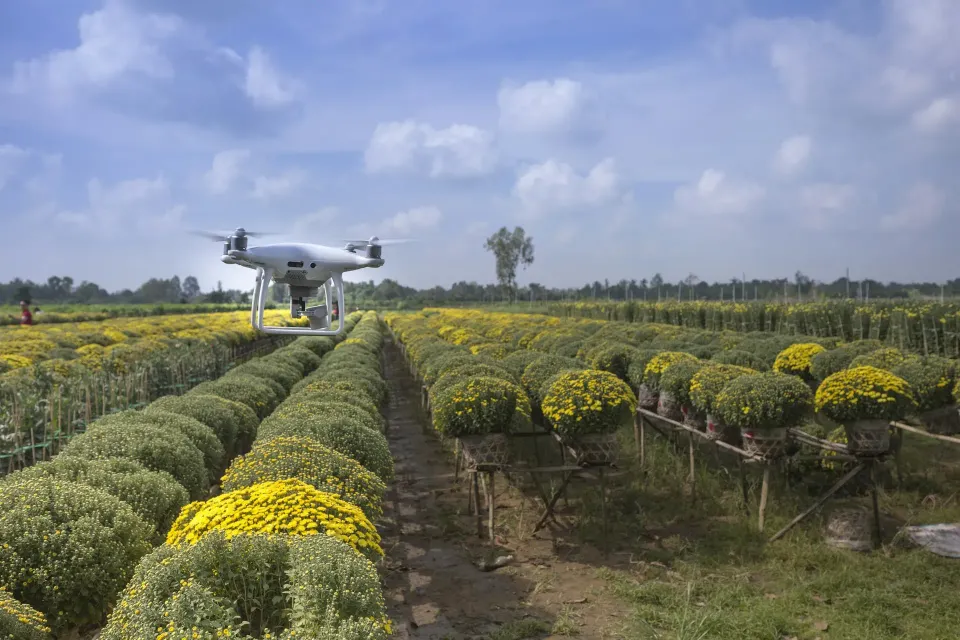 Drone memantau kebun