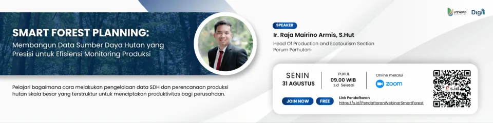 flayer-webinar13